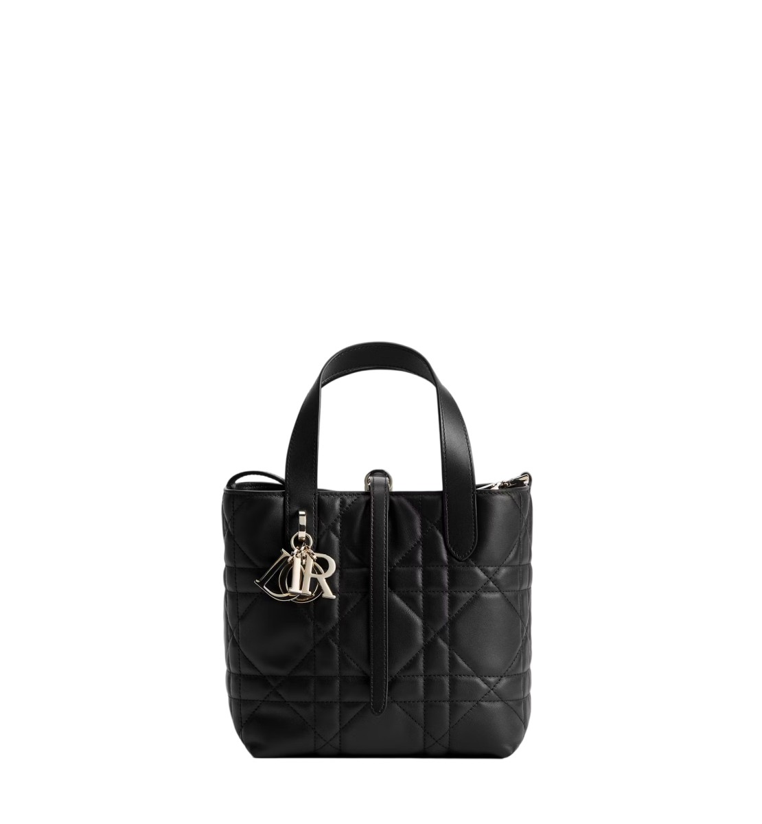 小号 Dior Toujours 竖版手袋