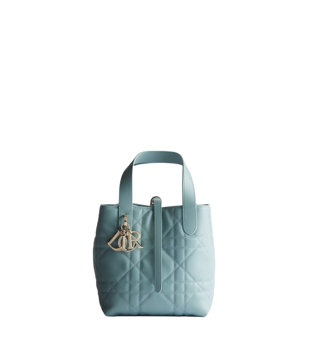 小号 Dior Toujours 竖版手袋