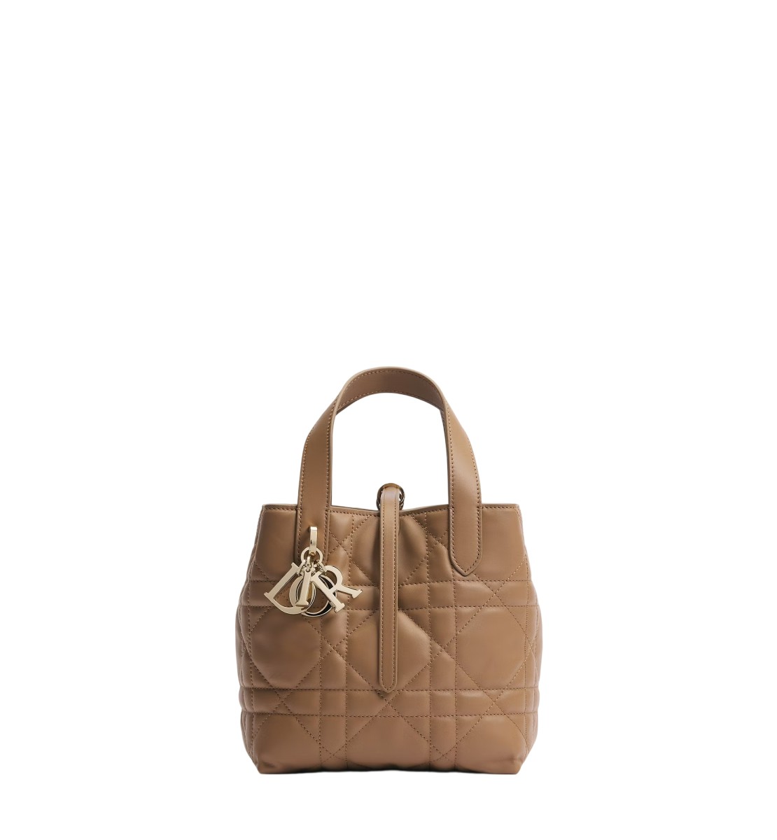  小号 Dior Toujours 竖版手袋