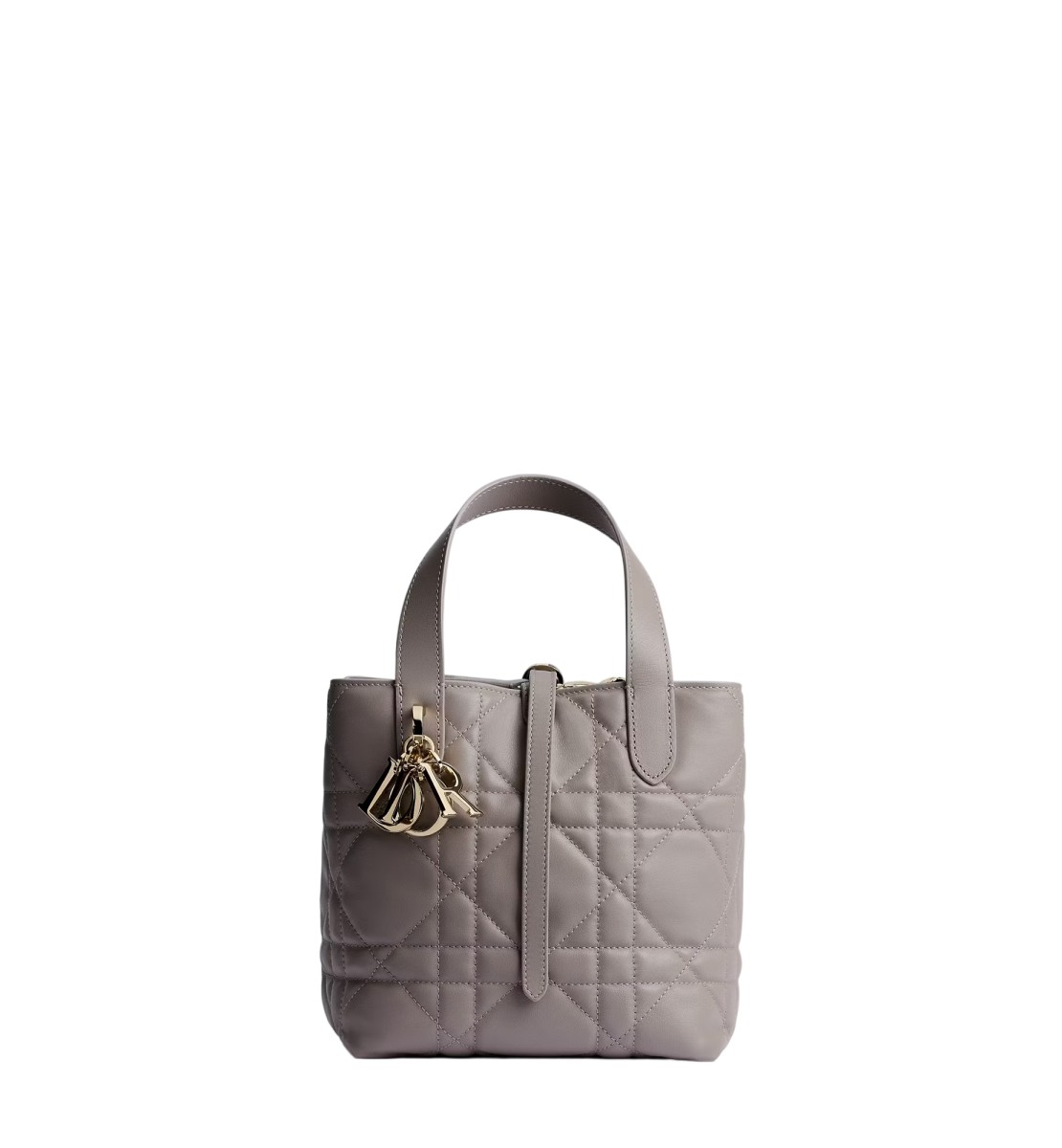 小号 Dior Toujours 竖版手袋