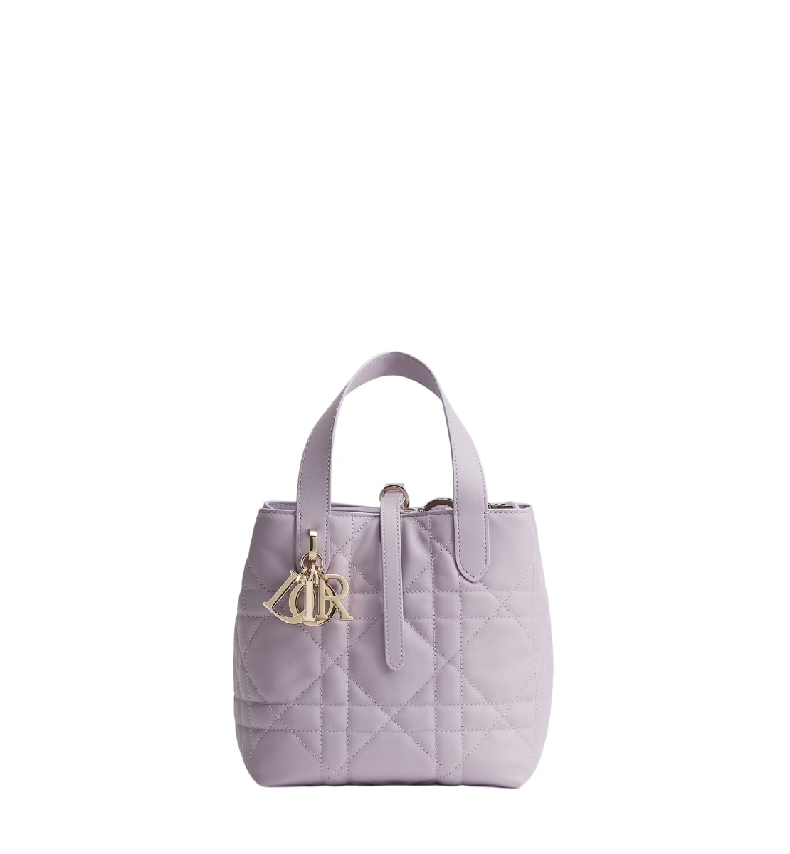 小号 Dior Toujours 竖版手袋