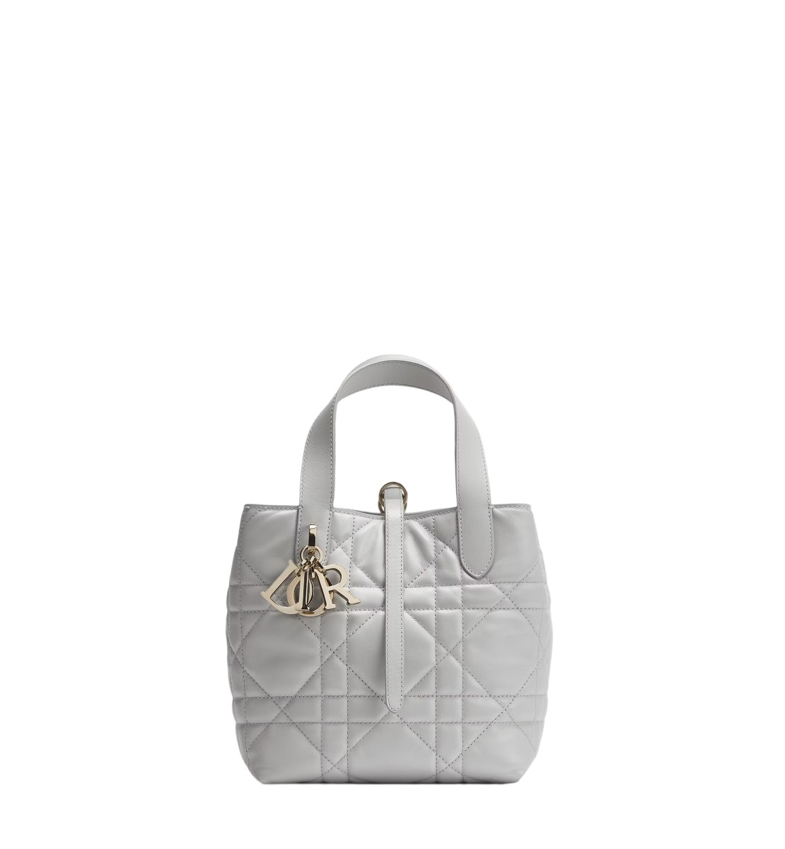   小号 Dior Toujours 竖版手袋