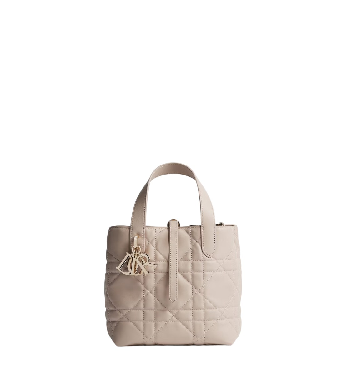 小号 Dior Toujours 竖版手袋