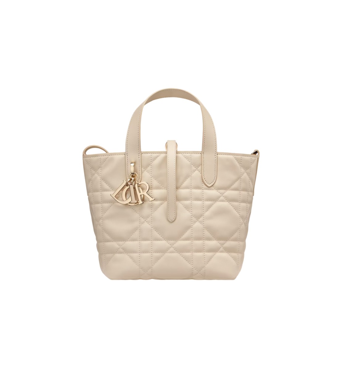 小号 Dior Toujours 竖版手袋