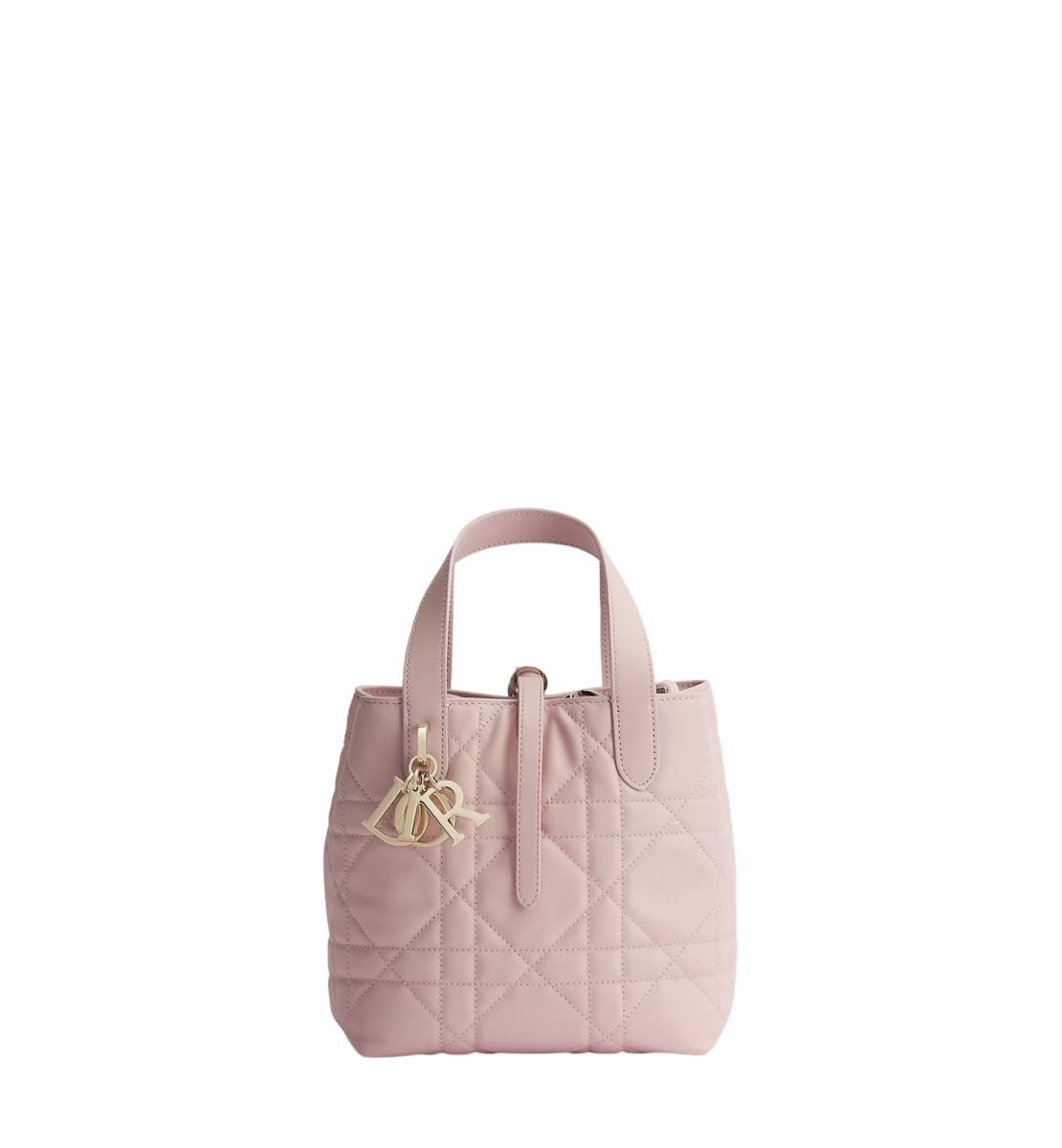 小号 Dior Toujours 竖版手袋