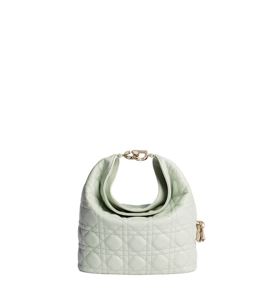 小号 Dior Toujours Hobo 手袋