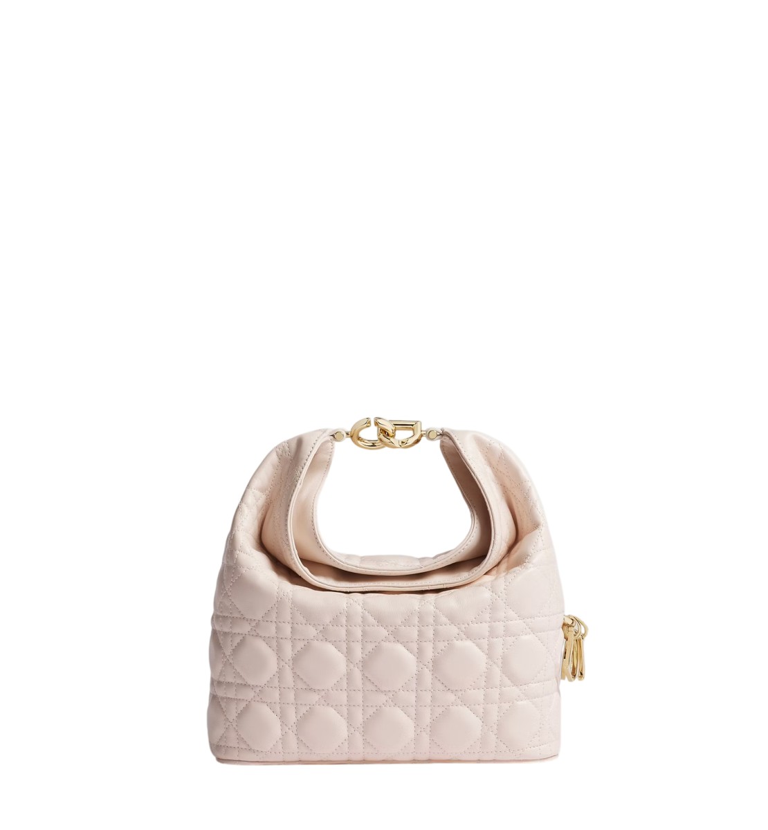小号 Dior Toujours Hobo 手袋
